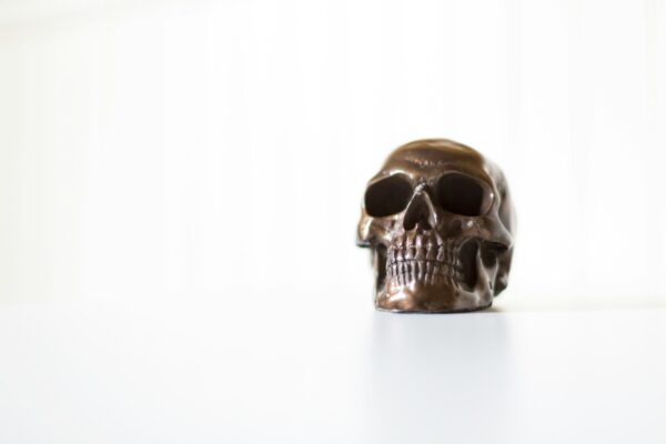 skull