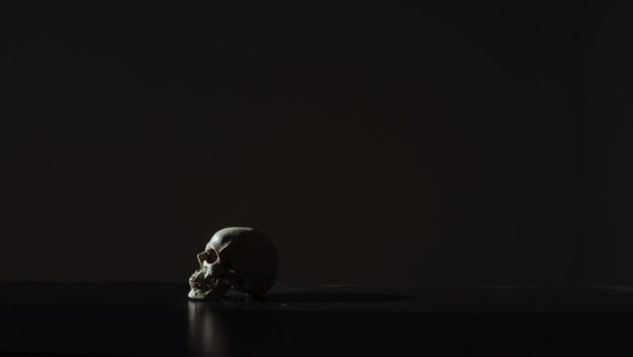 skull in the dark